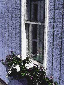 Blue wall with window box - web