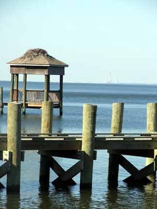 W.dock and pavillon.osprey nest