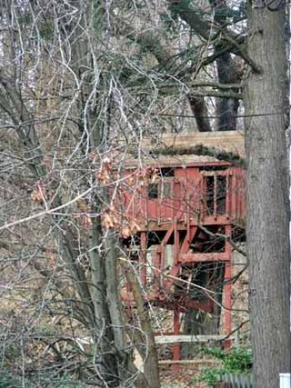 Cville tree house