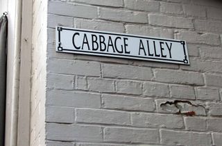 Cabbage alley