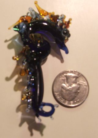 Seahorse fancy with qtr
