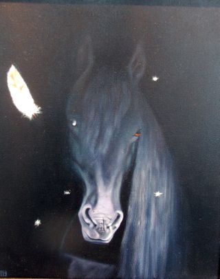 Aom09.3 Tracey Clarke. black horse