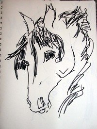 2d_horse_head