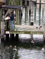 Artsy_ocracoke_fisherman_and_birds_1