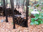 Fall_06_wood_piles