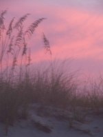 Obx_morning_dunes_and_oats