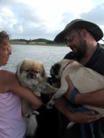 Obx_sueno_meets_dog_on_ferry_close_up_1