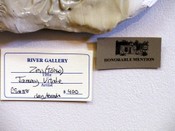 River_gallery_honorable_mention_closeup