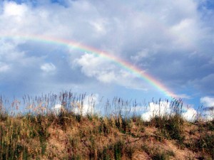 rainbow over sand dunes by Tammy Vitale