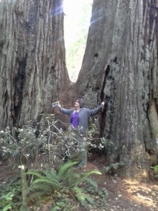author in front of a redwood tree