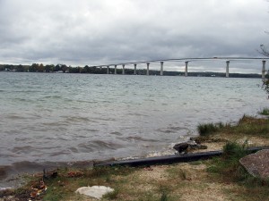 the sandy beach and bridge at Solomons, 3 minutes from my house