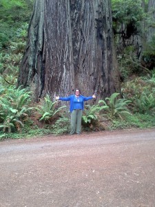 Tammy in front of a redwood tree