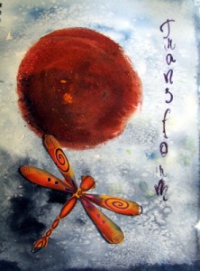 dragonfly and sun with word "transform"