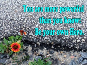 Photo of flower at the edge of asphalt. Photo and quote by Tammy Vitale