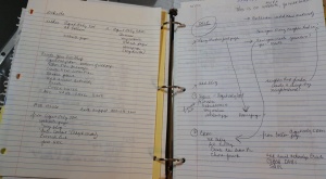 real estate note book (cheat sheets for creating drip campaigns, working on my website)