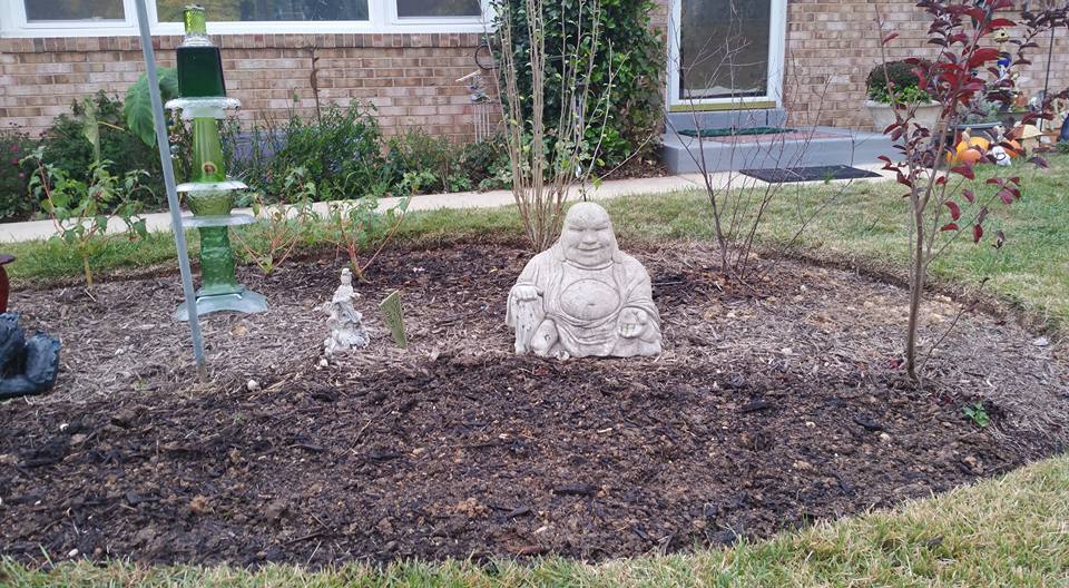 AEDM2017 - day 4. Buddha watches over the planted daffodils in 